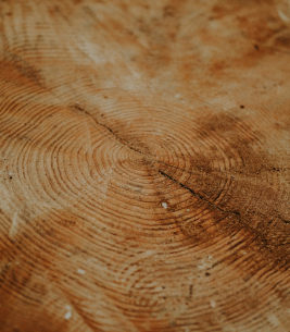 Spals furniture detail